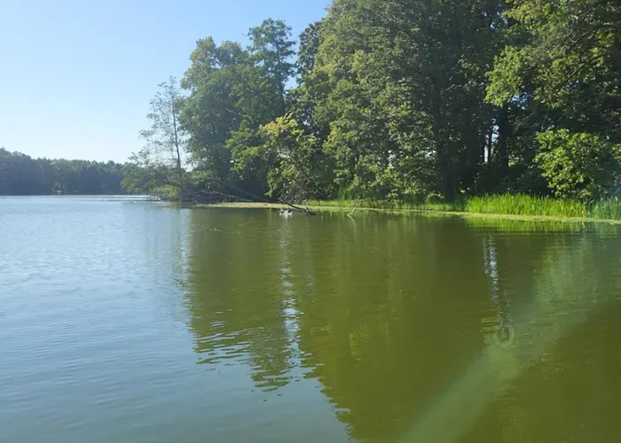 Hébergement de vacances Sloneczne Wzgorze Nad Dadajem 2 *