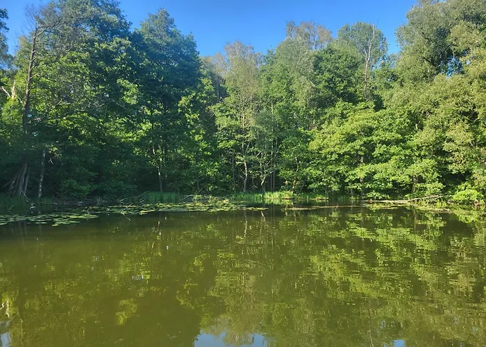Sloneczne Wzgorze Nad Dadajem 2 Hébergement de vacances *